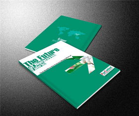 书刊印刷厂的印刷艺术与流程探析